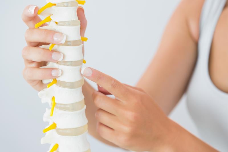 about our chiropractic office